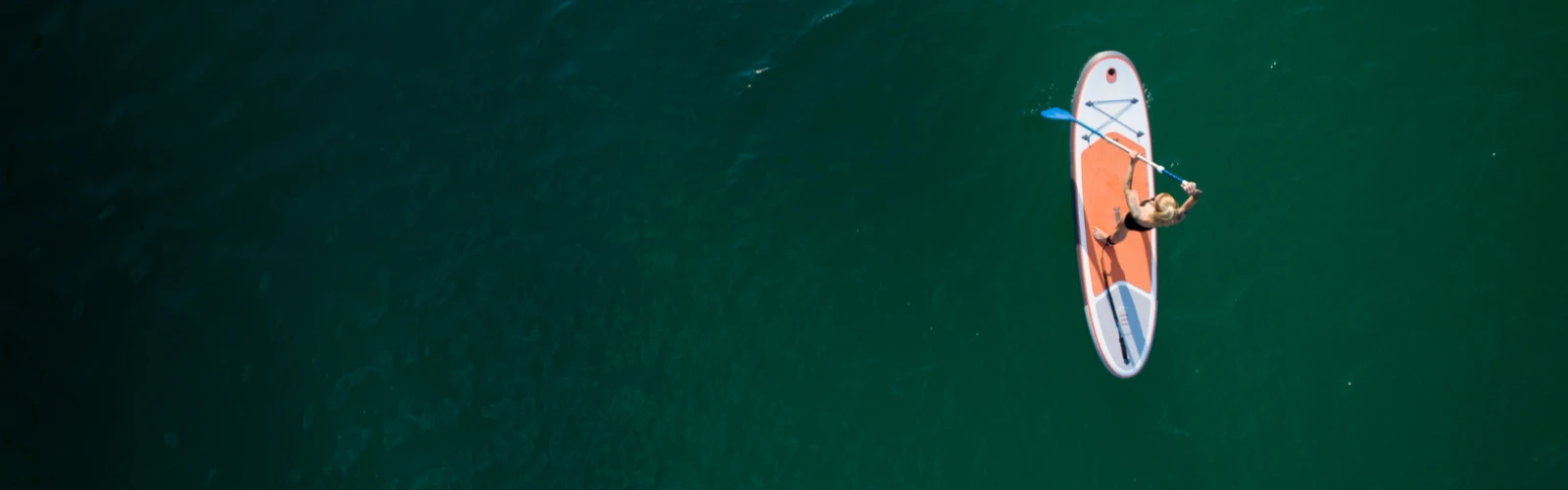 Stand-Up Paddleboarding on the Danube in Vienna
