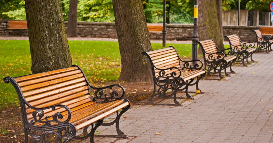 Volksgarten Vienna: Historic Rose Garden & City Escape